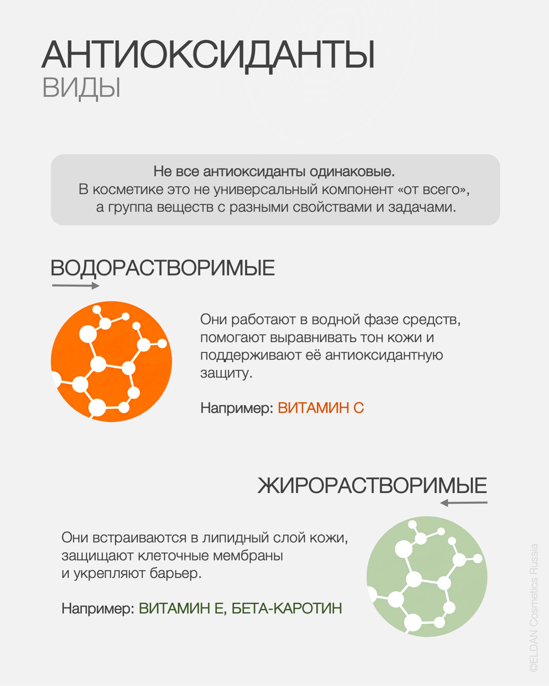 Пост различия антиоксидантов 3.jpg